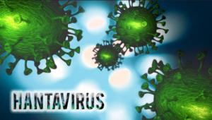 दुनिया के 10 सबसे खतरनाक वायरस
