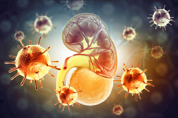 Early Signs of kidney disease in humans: आपकी किडनी ख़राब है और आप जानते तक नहीं है ये 5 मामूली लक्षण